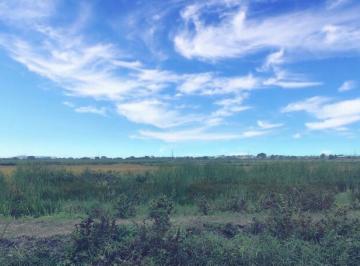 Terreno / Lote · 75000m² · Macrolote de Venta en El Nuevo Samborondon