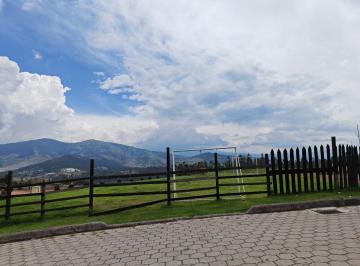 Hacienda-Quinta de 2 habitaciones, Quito · Itulcachi Quinta de Ensueño en Venta! 8,895 M^2 de Productividad, Confort y Naturaleza. $450.000, Oo