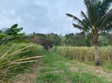 Terreno / Lote · 6300m² · Venta Terreno Cultivo - Hotel Pedernales - Cojimies (Ecuador) 6300 m² Oportunidad