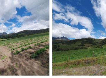 Terreno / Lote , Machachi · 100 Hectáreas Productivas en Machachi