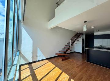 Suite de 1 habitación, Quito · Loft en Alquiler Sector La Carolina