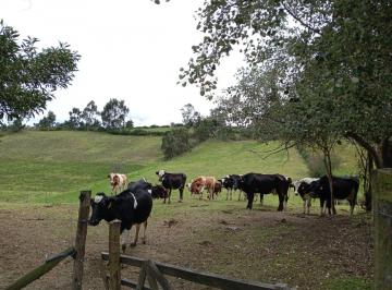 Hacienda-Quinta de 5 habitaciones, Latacunga · Finca Productivo de Desarrollo Agroturismo Productiva de Alto Potencial – 7.8 Has Tanicuhi Latacunga