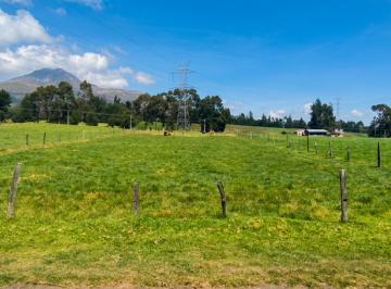 Terreno / Lote , Machachi · Terreno 2.000 m² en Aloasí con Servicios Básicos y Opción Para Construir 2 Pisos