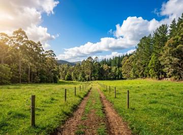 Terreno / Lote , Cuenca · Vendo Lotes en $49.000 Sector Tarqui Desde Los 700 m² con Todos Los Servicios