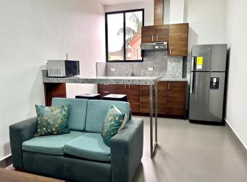Suite de 1 habitación, Guayaquil · Suite en Alquiler en Samborondón, Vía a Samborondón Km 4 con Piscina