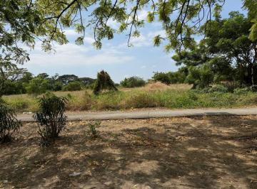 Terreno / Lote , Guayaquil · En Alquiler Terreno 15.000 m² - Autopista Narcisa de Jesús. Guayaquil