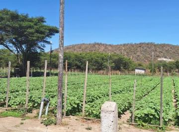 Terreno / Lote , Quito · Terreno de Venta, Guayllabamba Chaquibamba 1000 m²