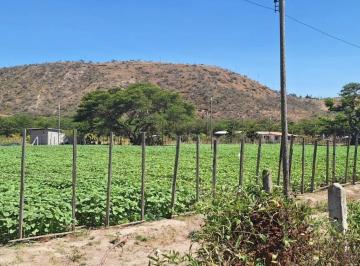Terreno / Lote , Quito · Hermosos Terrenos de Venta Guayllabamba 1000 m²