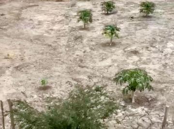 Terreno / Lote , Playas · Terreno en Playas de Villamil