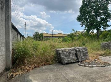Terreno / Lote , Guayaquil · Terreno en Alquiler 13.000 m² - Vía a Daule Km 12.5 - Vía Perimetral - Norte de Guayaquil