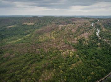 Terreno / Lote , Guayaquil · Vendo 60 Hectáreas en Via a La Costa, Limoncito, Se Puede Fraccionar Desde 1 Hectarea