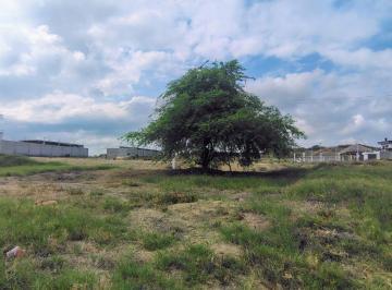 Terreno / Lote , Santa Elena · Vendo Terreno Ubicado en La Herradura Ruta del Spondylus