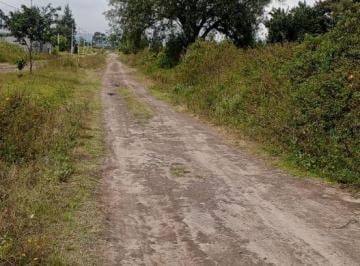 Terreno / Lote · 1000m² · Terreno en Puembo, Tras Holiday in