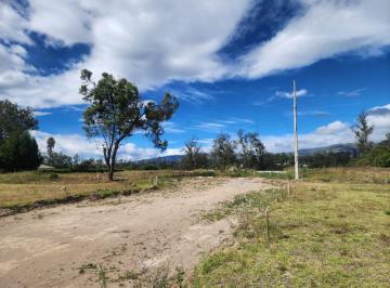 Terreno / Lote , Quito · Vendo Hermosos Lotes Desde 500 m Lotizados en Puembo