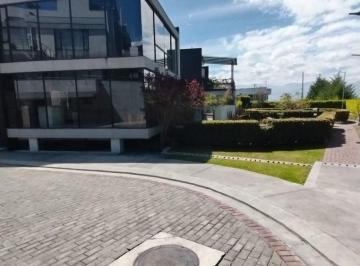 Casa de 4 habitaciones, Quito · Casa de Lujo en Renta | Cumbayá Sector Colegio Terranova