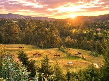 Hacienda-Quinta de 8 habitaciones, Cuenca · Hacienda Exclusiva en Venta – un Paraíso Para Amantes de Los Caballos, en Ricaurte en $1.000.000