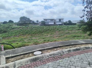 Terreno / Lote · 631m² · Terreno en Montecristi