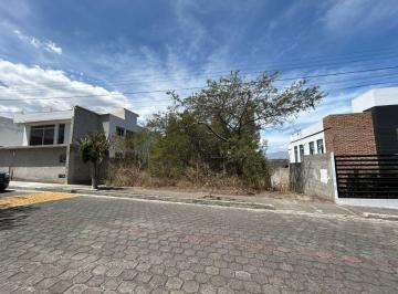 Terreno / Lote , Quito · Venta Hermoso Terreno en Urbanización Privada Nayón Camino Antiguo Al Reservorio de Cumbayá