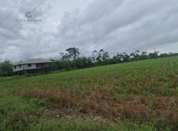 Hacienda-Quinta · 430000ha · Quinta en Babahoyo