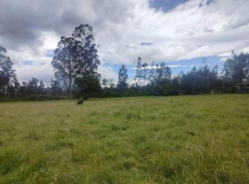 Terreno / Lote , Quito · Terreno en Venta en Cotogchoa – 20.590 m², Plano y con 2 Frentes