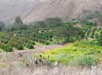 Hacienda-Quinta · 300m² · Finca en Norte de Ibarra