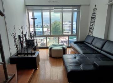 Suite de 1 habitación, Quito · Lotf Amoblado de Alquiler, 60 m². La Carolina