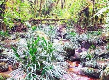 Terreno / Lote , Mera · Terreno de 50 Hectáreas en Mera, Pastaza, Área Protegida