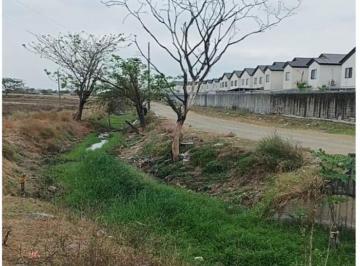 Terreno / Lote , Daule · Vendo Una Oportunidad de Desarrollo en un Terreno Urbano Comercial, Al Pie de La Autopista a Salitre