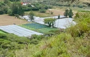 Terreno / Lote · 15738m² · Vendo Terreno 15.738 m² Vía Guayllabamba - Tabacundo