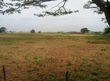 Terreno / Lote , Daule · Vendo Terreno 18700 m² en Via a Salitre, Pie de Via, Ideal Proyectos Comerciales o Vivienda