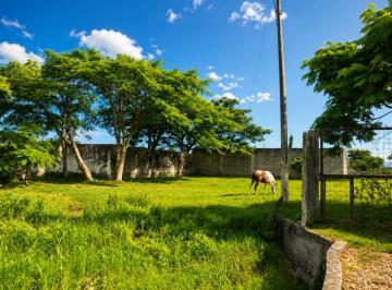 Terreno / Lote Venta USD 37.500 · Venta de Terreno Via Salitre m. Castro