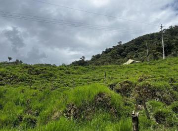 Terreno / Lote · 102ha · Terreno en Venta – Potencial Productivo y Turístico en Napo