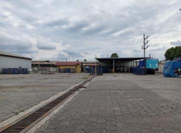 Bodega-Galpón , Guayaquil · Propiedad en Alquiler 4.300 m² - Galpón y Oficinas, Vía a Daule Km 14.5 - Norte de Guayaquil