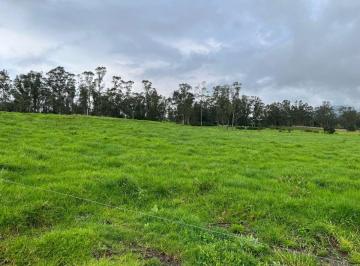 Terreno / Lote , Machachi · Vendo - 5 Hermosos Lotes de Terreno - en Machachi