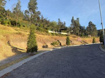 Terreno / Lote , Quito · Vendo Terreno en Tumbaco Sector Intervalles