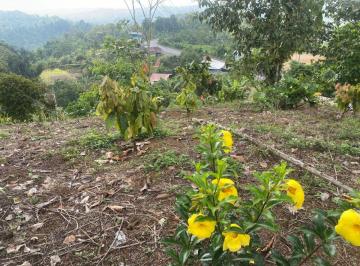 Terreno / Lote , Puerto Quito · Puerto Quito, Vendo Terreno 4896 m², a 4 Min del Pueblo