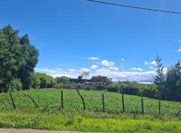 Terreno / Lote · 1000m² · Venta Terreno 1.000 m² en Tababela – Ideal Casa o Quinta – Escritura
