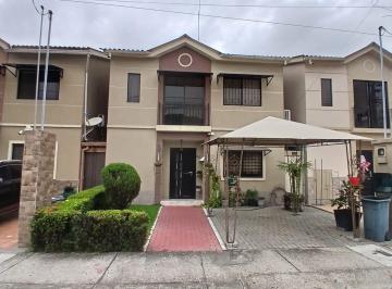 Suite · 160m² · 3 Habitaciones · Urbanizacion Plaza Madeira