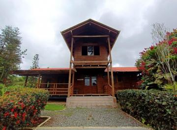 Hacienda-Quinta de 5 habitaciones, Pedro Vicente Maldonado · Hacienda de 121ha, con Producción de Cacao, Pedro Vicente Maldonado