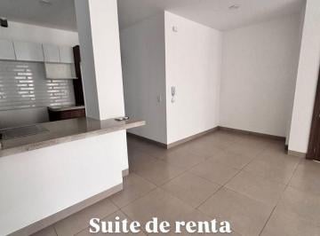 Suite de 1 habitación, Guayaquil · 7440. Puerta Al Río - Samborondon Km².5, Alquilo Linda Suite 1 Dormitorio $900.