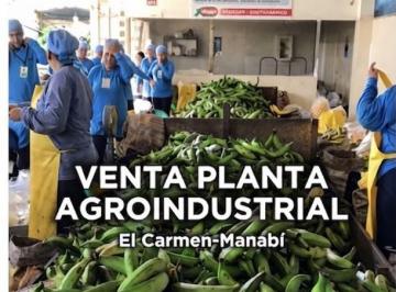 Bodega-Galpón , El Carmen · Venta Empacadora Productos Agricolas - El Carmen A. Quintana