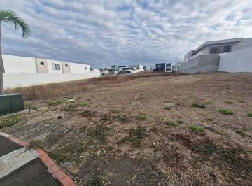 Terreno / Lote , Manta · Terreno de Venta en Manta Zona Sur Manta