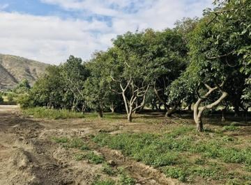 Terreno / Lote · 200m² · Jal. Venta Terreno Guayllabamba, 200 m², $16.500. No Rentes Compra y Construye Tu Casa Independiente