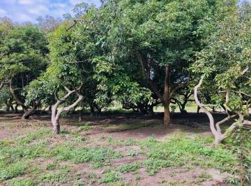 Terreno / Lote · 300m² · Ycm. Venta Terreno Guayllabamba, 200 m², $25.000. No Rentes Compra y Construye Tu Casa Independiente