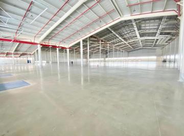 Bodega-Galpón · 14500m² · 50 Estacionamientos · Ofibodega en Alquiler 14.500 m² - Vía a Daule Km 10, Norte de Guayaquil