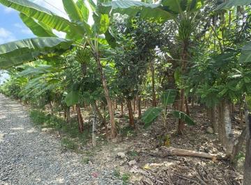 Terreno / Lote , Machala · Terrenos en Venta en Buenavista, Pasaje