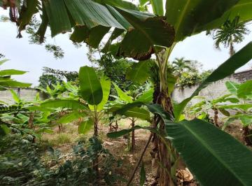 Terreno / Lote , Pasaje · Terreno en Venta en Pasaje, Lot Mariana Febres Cordero