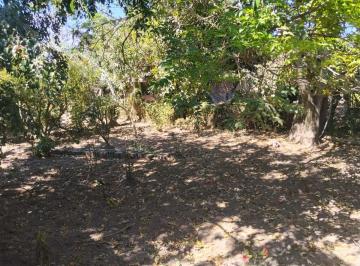 Terreno / Lote , Quito · Tumbaco, Buena Esperanza, Sect. Hilacril, Vendo Terreno Plano 1000 m², Irm. Cos. Pb. 35%, Cos T 105%