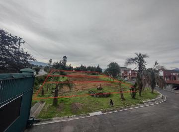 Terreno / Lote , Quito · Rento 3 Lotes Comerciales de 2.500 m² c/u Sangolqui, Sector Colibri, con Frente a Av Gral Rumiñahui