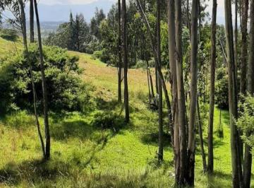 Terreno / Lote , Quito · ¡Bajó de Precio!terreno en Venta 3.9 Ha El Inga - Pifo - Pichincha